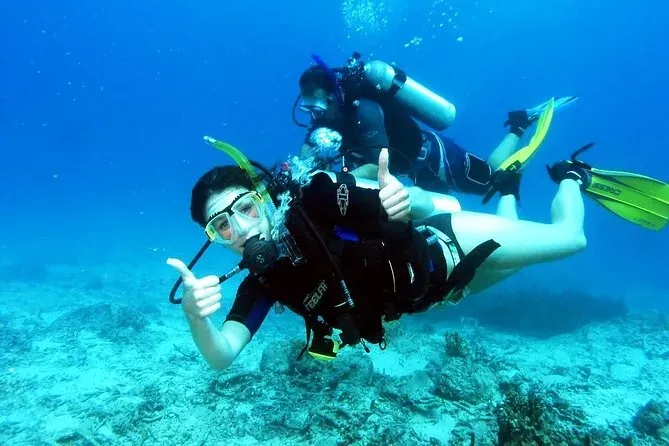 The Ultimate Guide to Diving Trips in Sharm El Sheikh